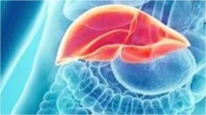 Health-Tips-Liver-2-300x168