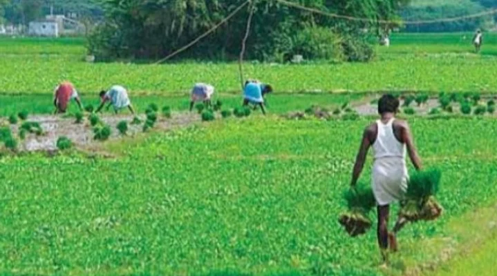agriculture-farmers2