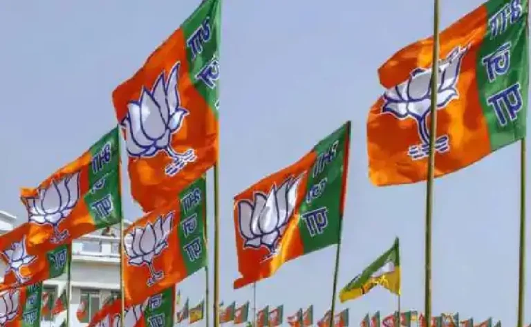 bjp-flag3