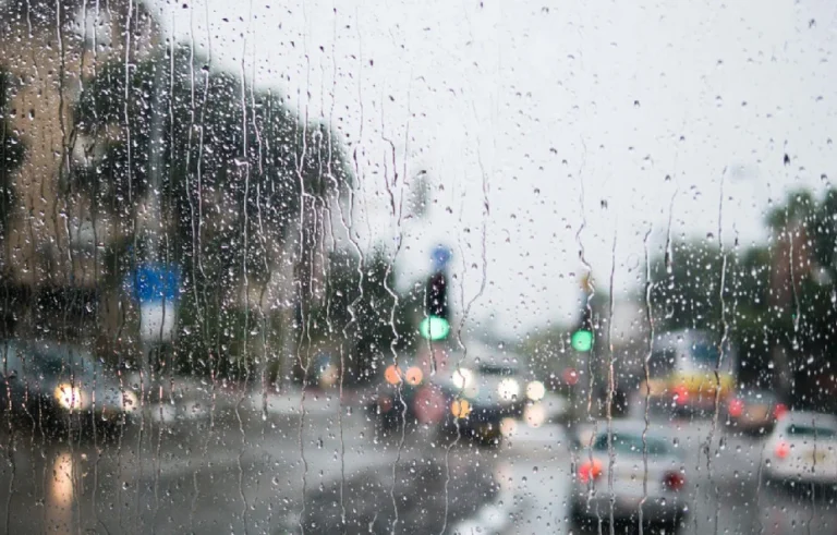 rain (1)