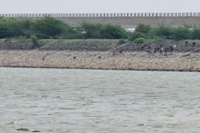 VJPR-Bhoothanala-lake-Kere-Dam-1