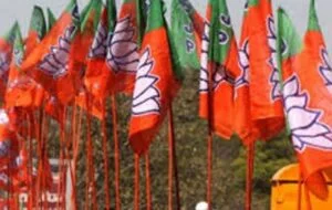 bjp-flag2-300x190-1