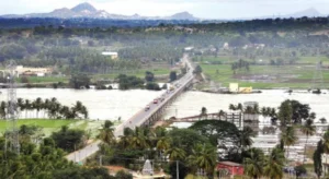 krs-mandya-300x164-1