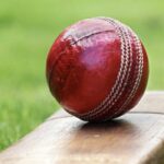 Cricket