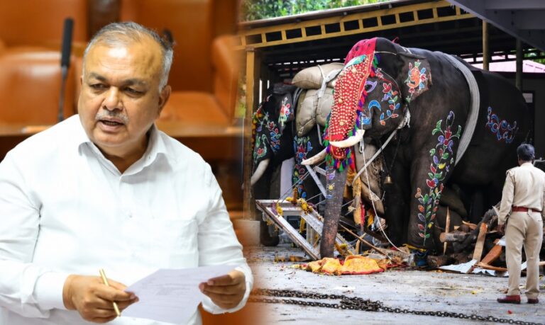 Ramalinga-Reddy-Dasara-Elephant